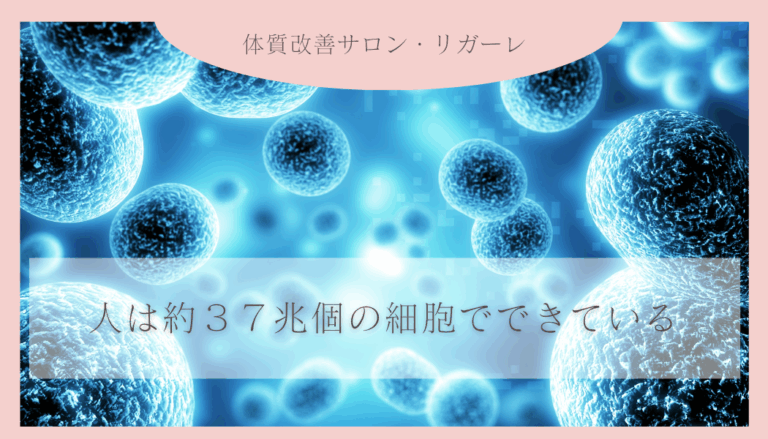 ピンク　シンプル　Instagram投稿正方形 (3